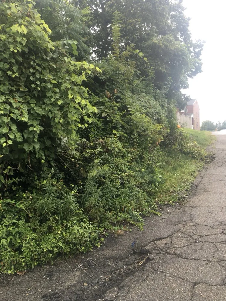 Expert landscape design in Pittsburgh, PA - A G S Landscaping