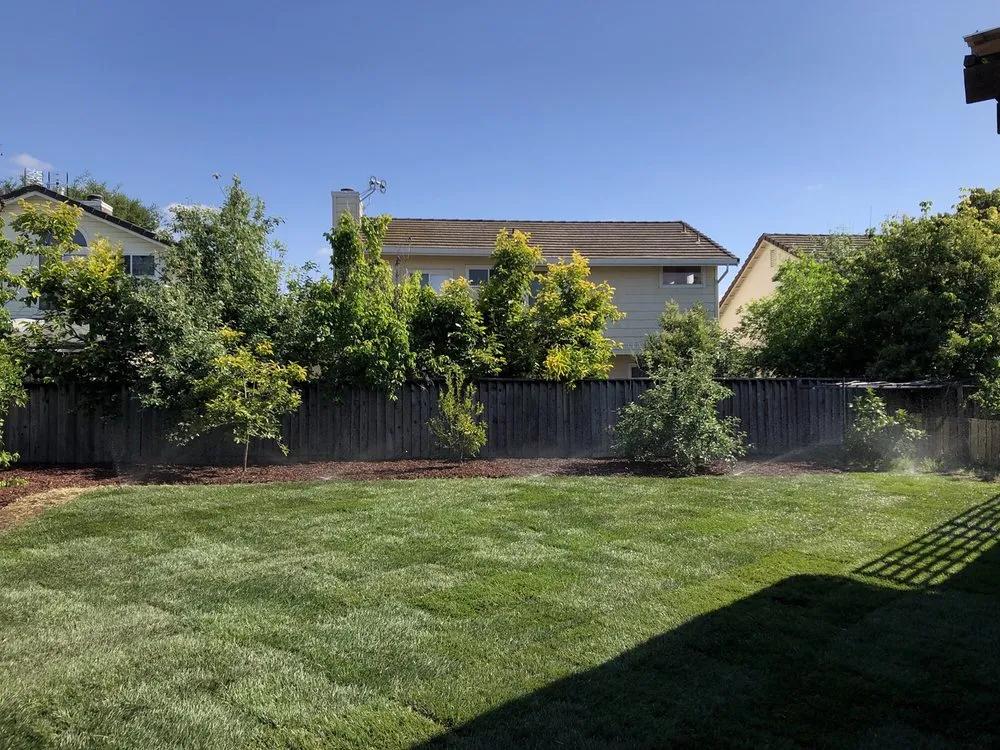 Expert lawn care service in Lodi, CA by A-G Sod Farms
