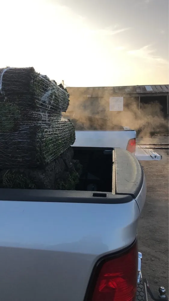 Trusted landscape installation for homes in Lodi, CA by A-G Sod Farms