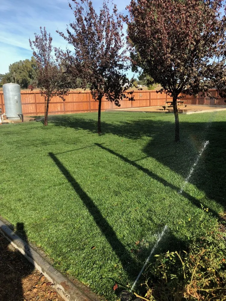 Reliable landscape design experts serving Lodi, CA - A-G Sod Farms