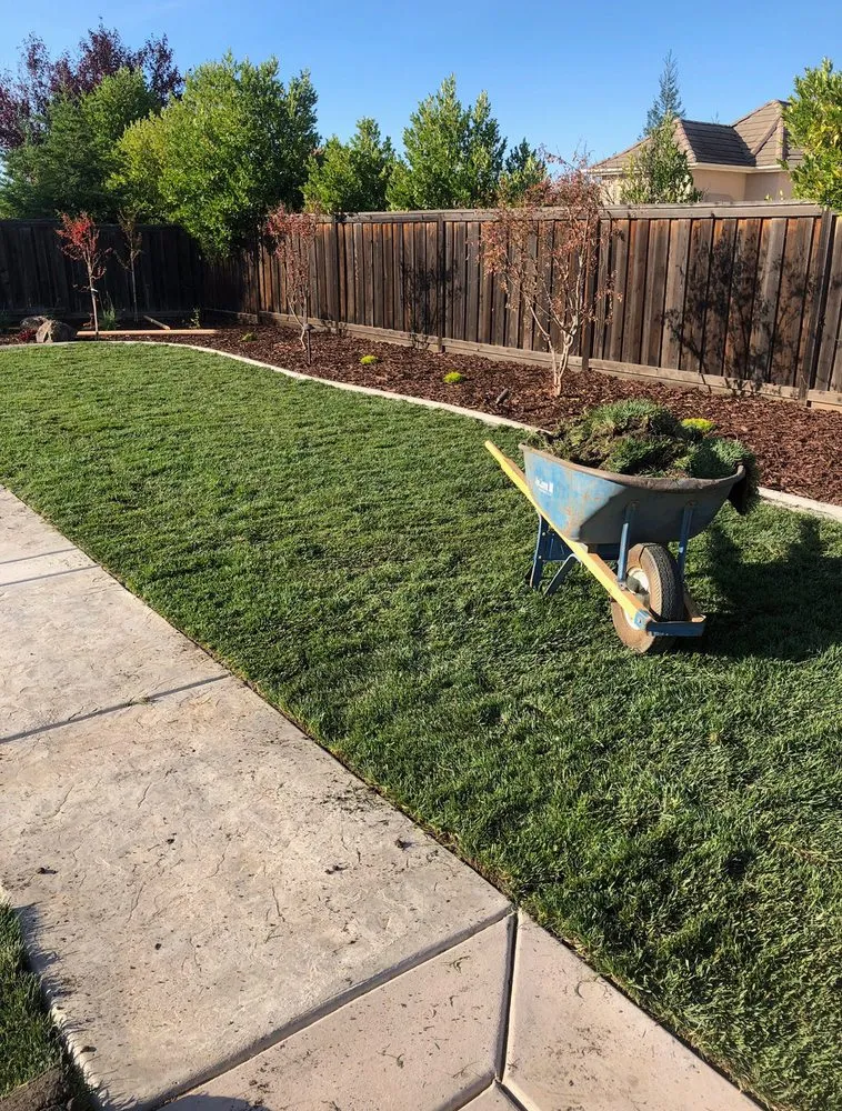 Custom lawn mowing service in Lodi, CA - A-G Sod Farms