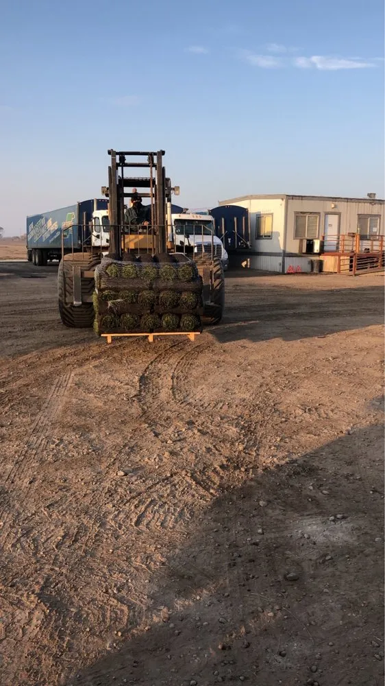 Professional landscape design in Lodi, CA by A-G Sod Farms