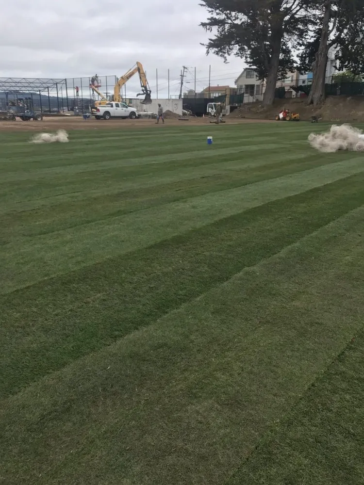 Expert landscaping services near you in Lodi, CA by A-G Sod Farms