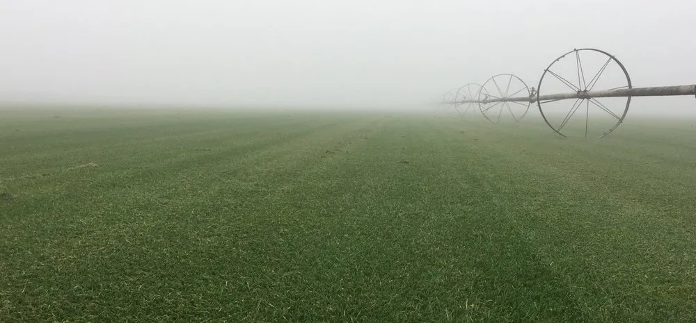 Expert yard cleanup service experts serving Lodi, CA - A-G Sod Farms