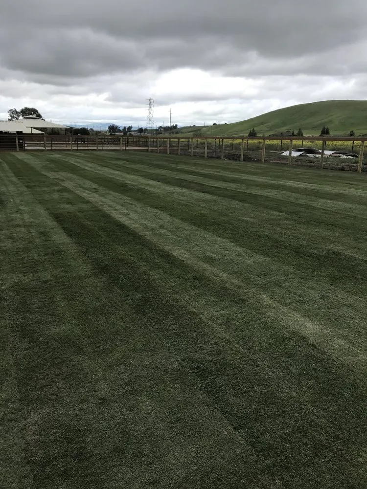 Top-rated yard cleanup service in Lodi, CA by A-G Sod Farms