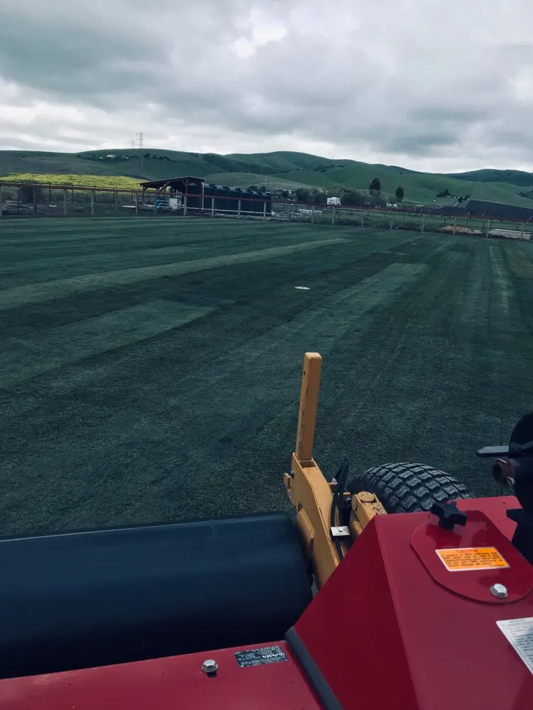 Professional outdoor landscaping in Lodi, CA - A-G Sod Farms