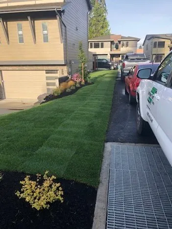 Professional lawn mowing service in Mt Vernon, WA by A-G Sod Farms
