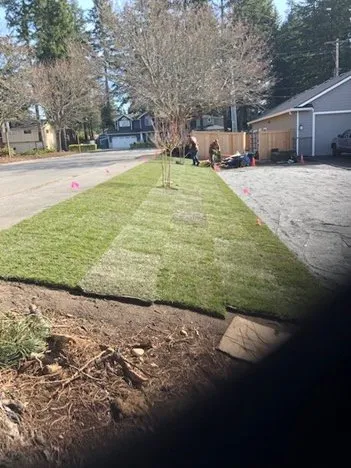 Custom yard maintenance for homes in Mt Vernon, WA by A-G Sod Farms