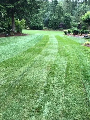 Custom yard maintenance in Mt Vernon, WA by A-G Sod Farms