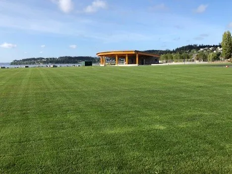 Expert lawn care service experts serving Mt Vernon, WA - A-G Sod Farms