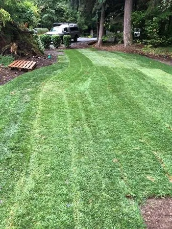 Local landscaping services experts serving Mt Vernon, WA - A-G Sod Farms