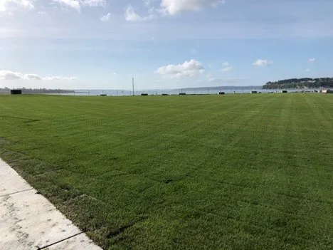 Local garden landscaping in Mt Vernon, WA by A-G Sod Farms