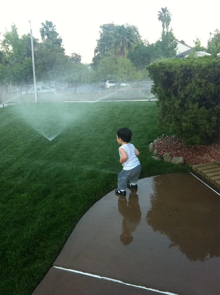 Reliable residential landscaping in Nuevo, CA by A-G Sod Farms