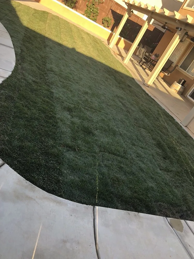 Local landscape design experts serving Nuevo, CA - A-G Sod Farms