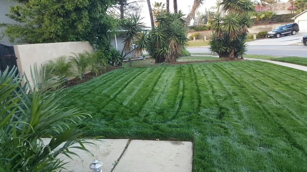 Trusted lawn mowing service in Nuevo, CA - A-G Sod Farms