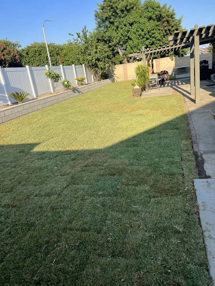 Expert yard maintenance for year-round maintenance across Nuevo, CA - A-G Sod Farms