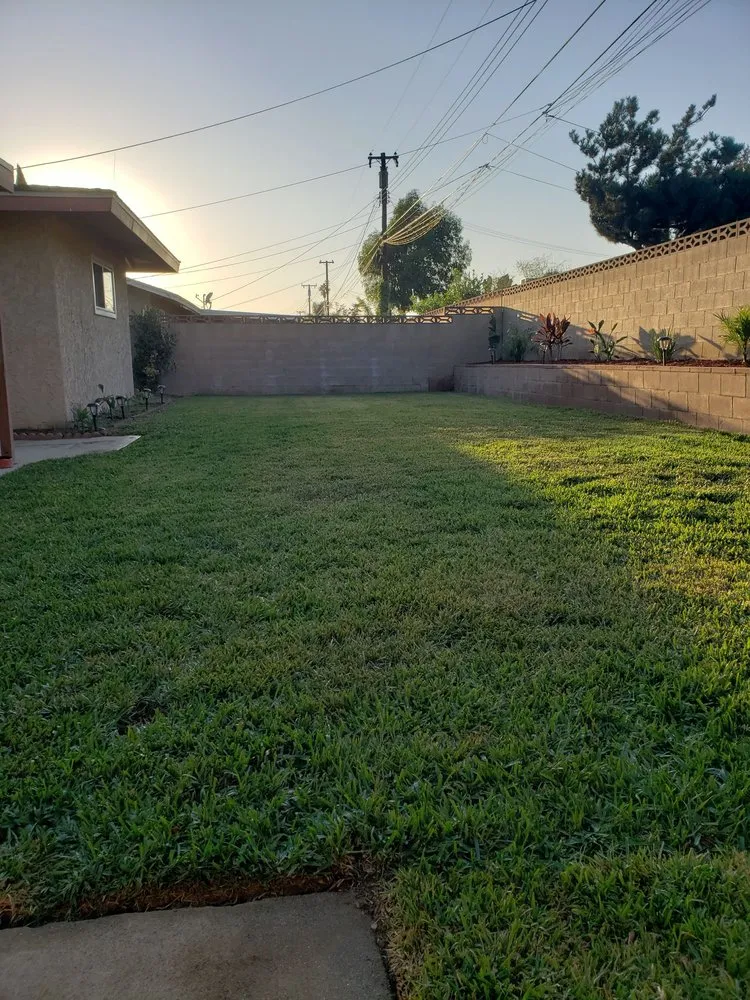 Local landscaping services experts serving Nuevo, CA - A-G Sod Farms