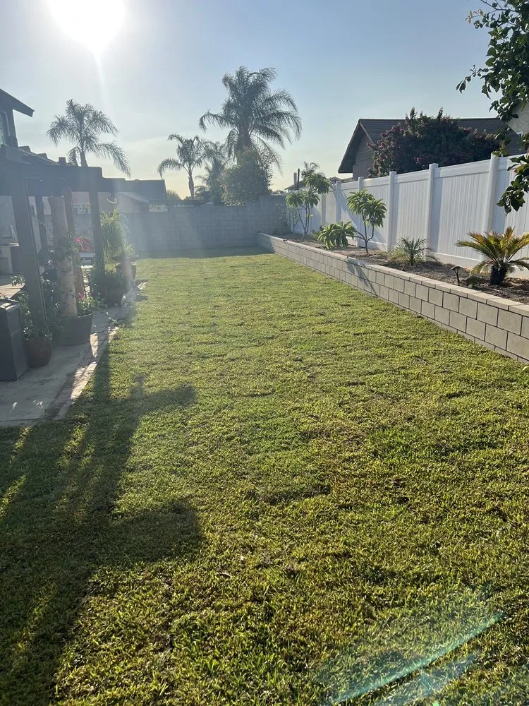 Affordable lawn mowing service for outdoor upgrades across Nuevo, CA - A-G Sod Farms