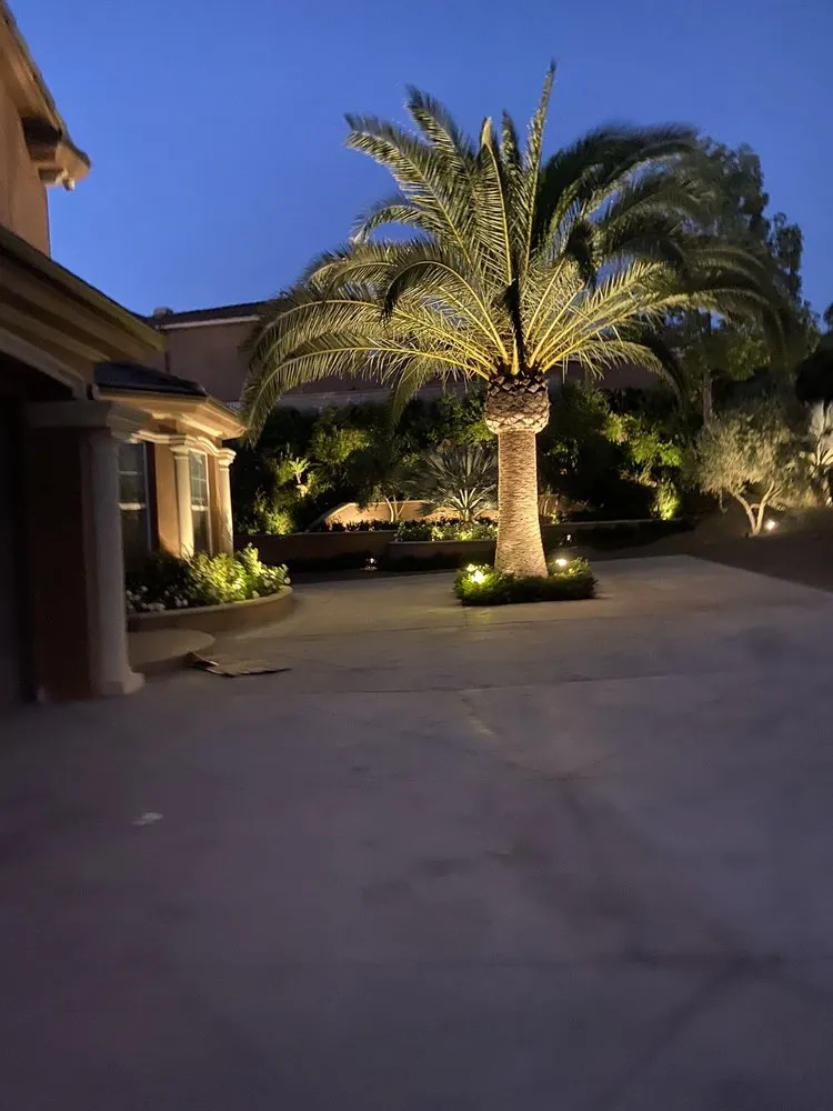 Custom landscape design for beautiful yards across Nuevo, CA - A-G Sod Farms