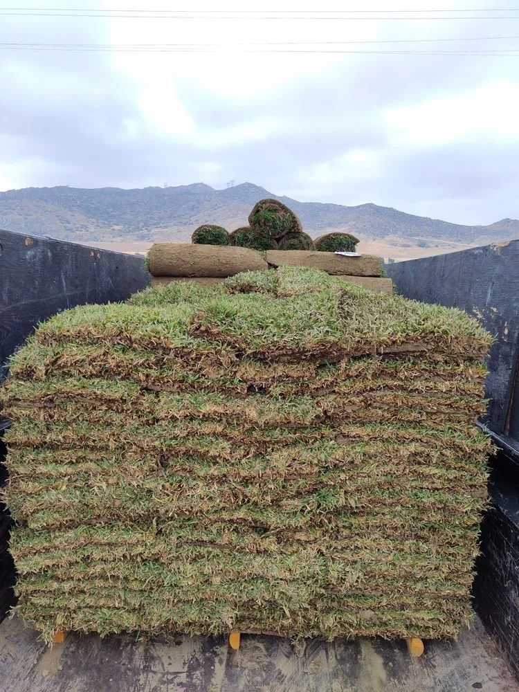 Custom residential landscaping experts serving Nuevo, CA - A-G Sod Farms