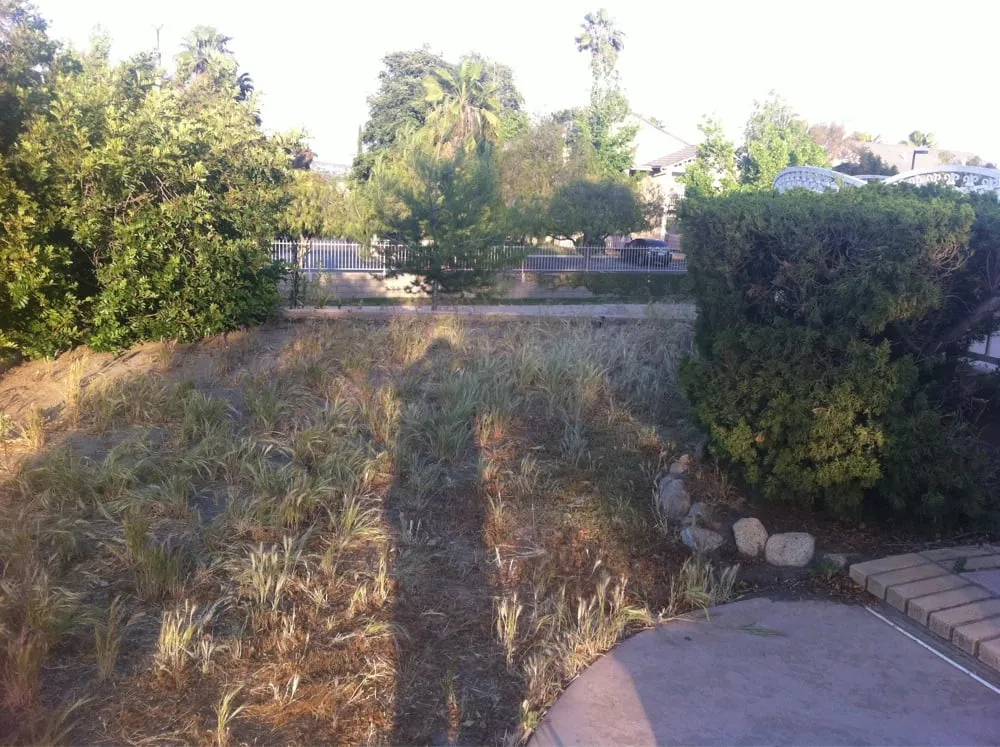 Local yard maintenance experts serving Nuevo, CA - A-G Sod Farms