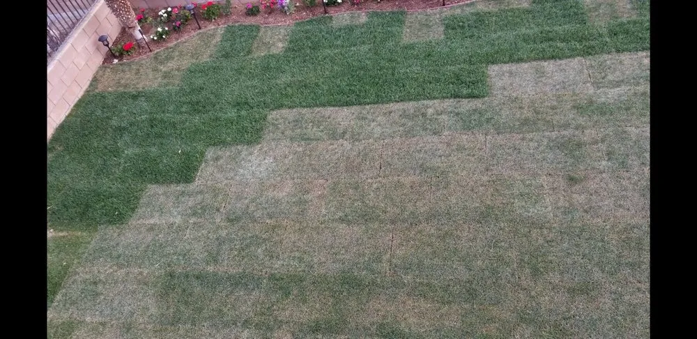 Trusted residential landscaping for outdoor upgrades across Palmdale, CA - A-G Sod Farms
