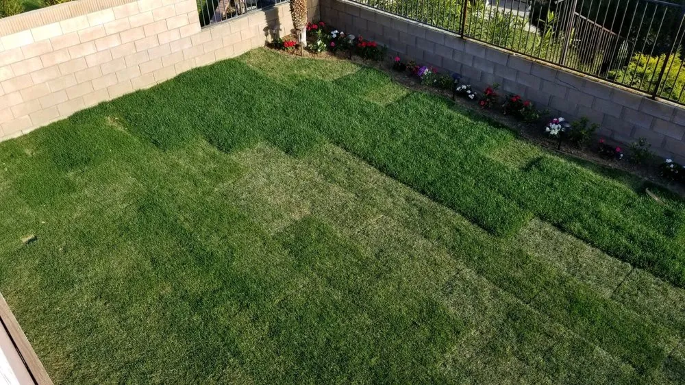 Custom outdoor landscaping experts serving Palmdale, CA - A-G Sod Farms