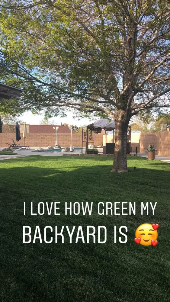 Trusted outdoor landscaping in Palmdale, CA - A-G Sod Farms