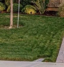 Trusted lawn mowing service for beautiful yards in Palmdale, CA by A-G Sod Farms