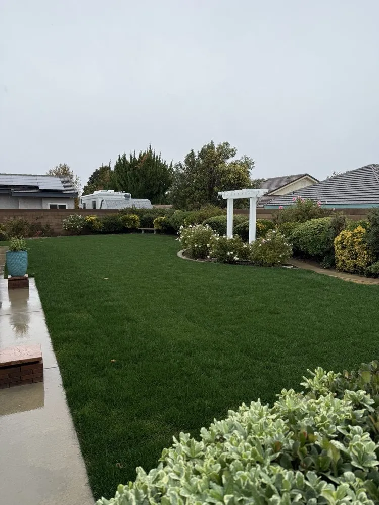 Affordable landscape installation experts serving Palmdale, CA - A-G Sod Farms