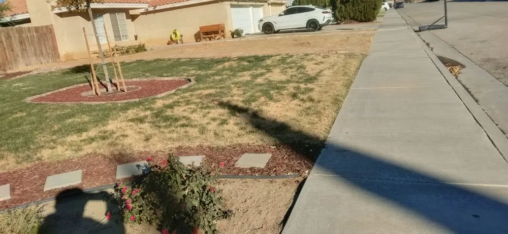 Reliable landscaping services experts serving Palmdale, CA - A-G Sod Farms