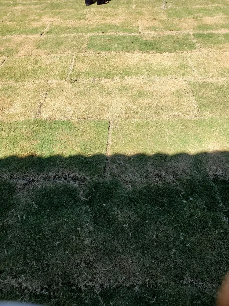 Custom lawn mowing service in Palmdale, CA - A-G Sod Farms