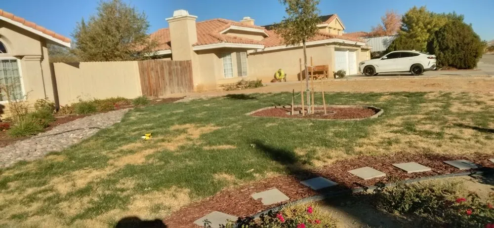 Expert landscape design experts serving Palmdale, CA - A-G Sod Farms