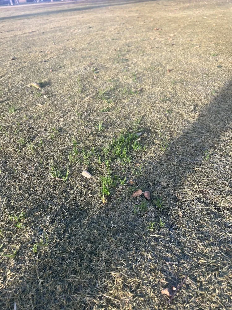 Expert outdoor landscaping in Palmdale, CA - A-G Sod Farms