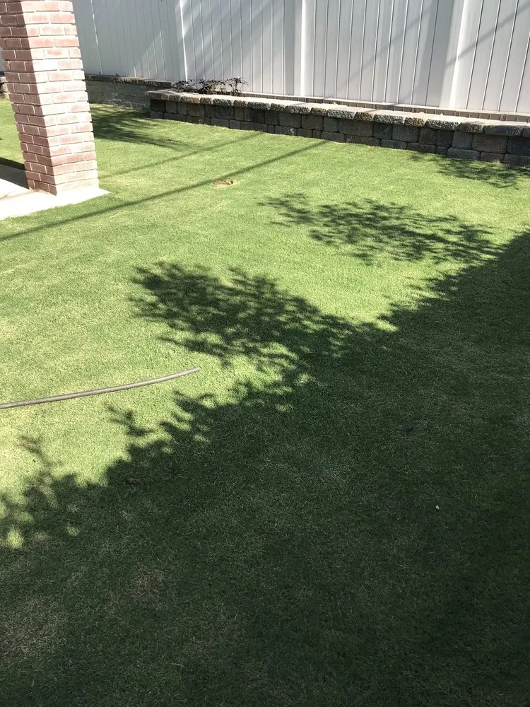Top-rated lawn care service experts serving Selma, CA - A-G Sod Farms
