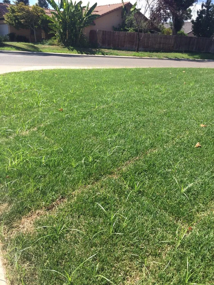 Affordable lawn mowing service near you across Selma, CA - A-G Sod Farms