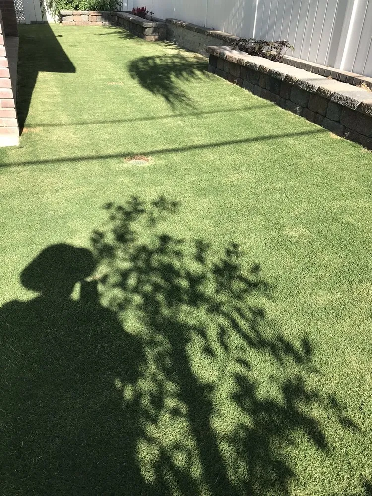 Custom landscape installation experts serving Selma, CA - A-G Sod Farms