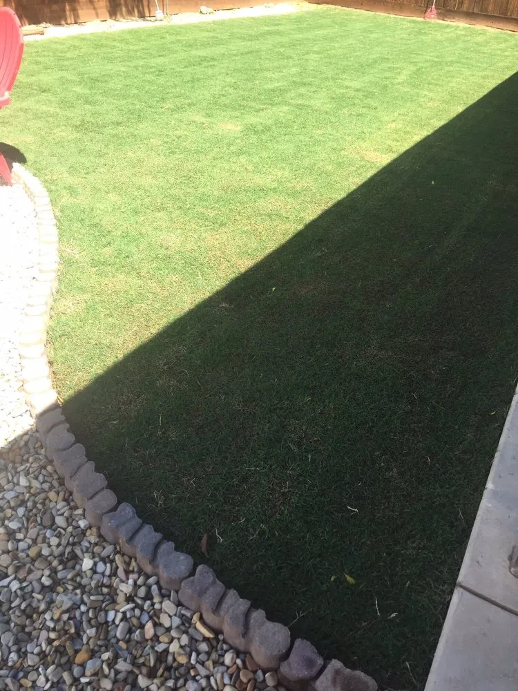 Affordable landscaping services for homes in Selma, CA by A-G Sod Farms