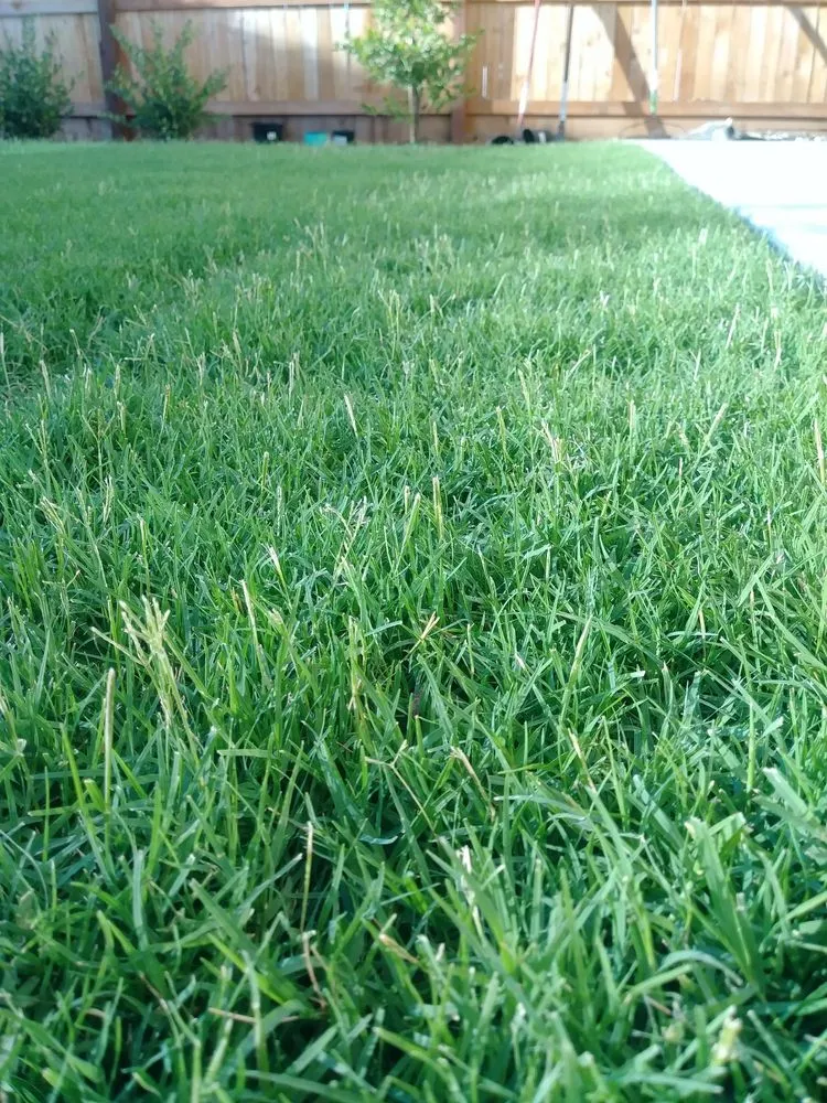 Trusted landscape installation with custom design across Selma, CA - A-G Sod Farms