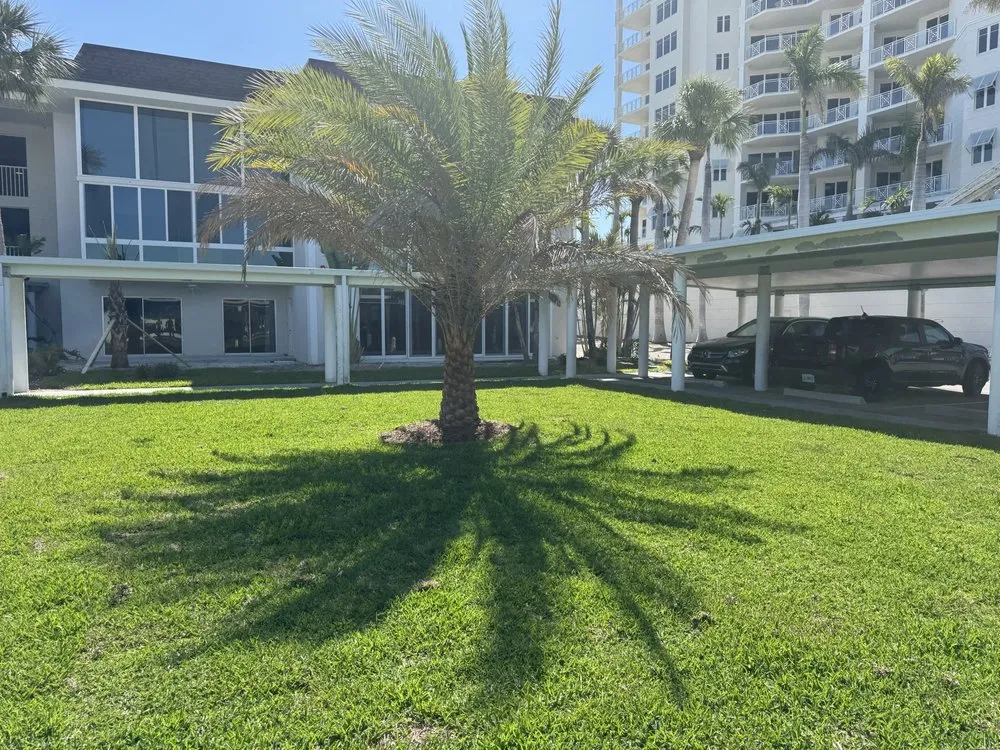 Reliable outdoor landscaping in Sarasota, FL - A Game Land Services