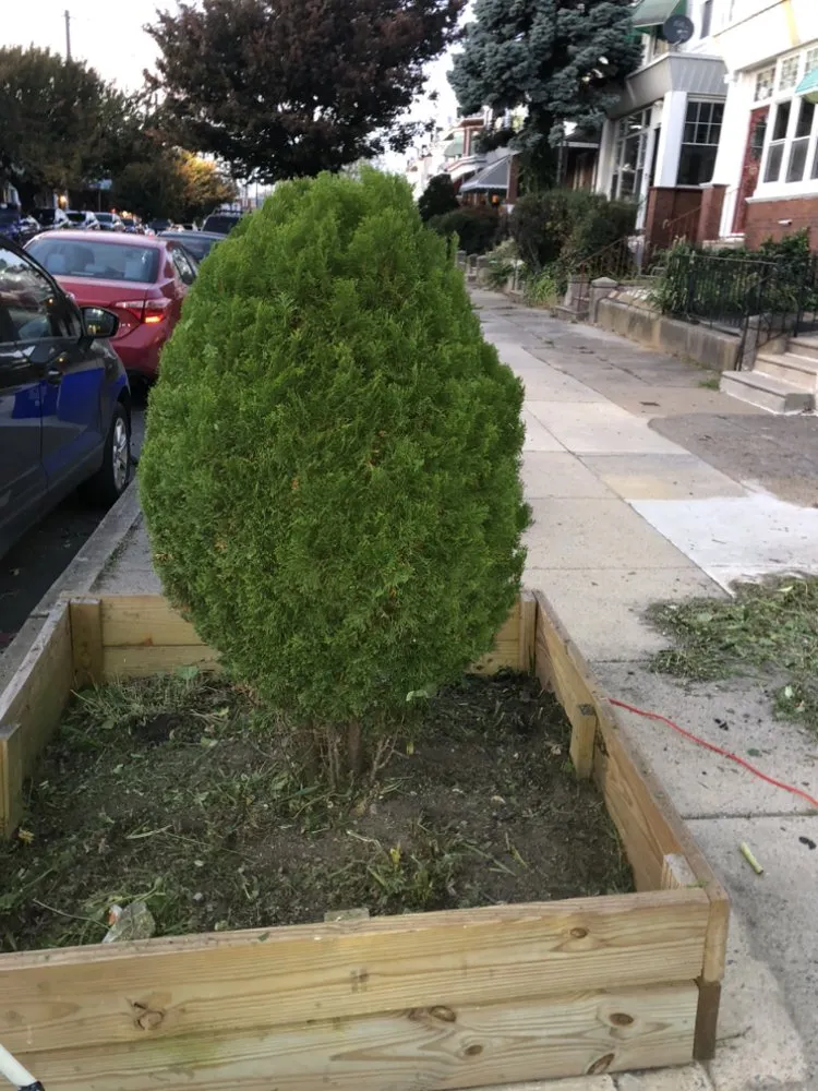 Local lawn mowing service for residential properties across Philadelphia, PA - A+ Garden & Landscaping