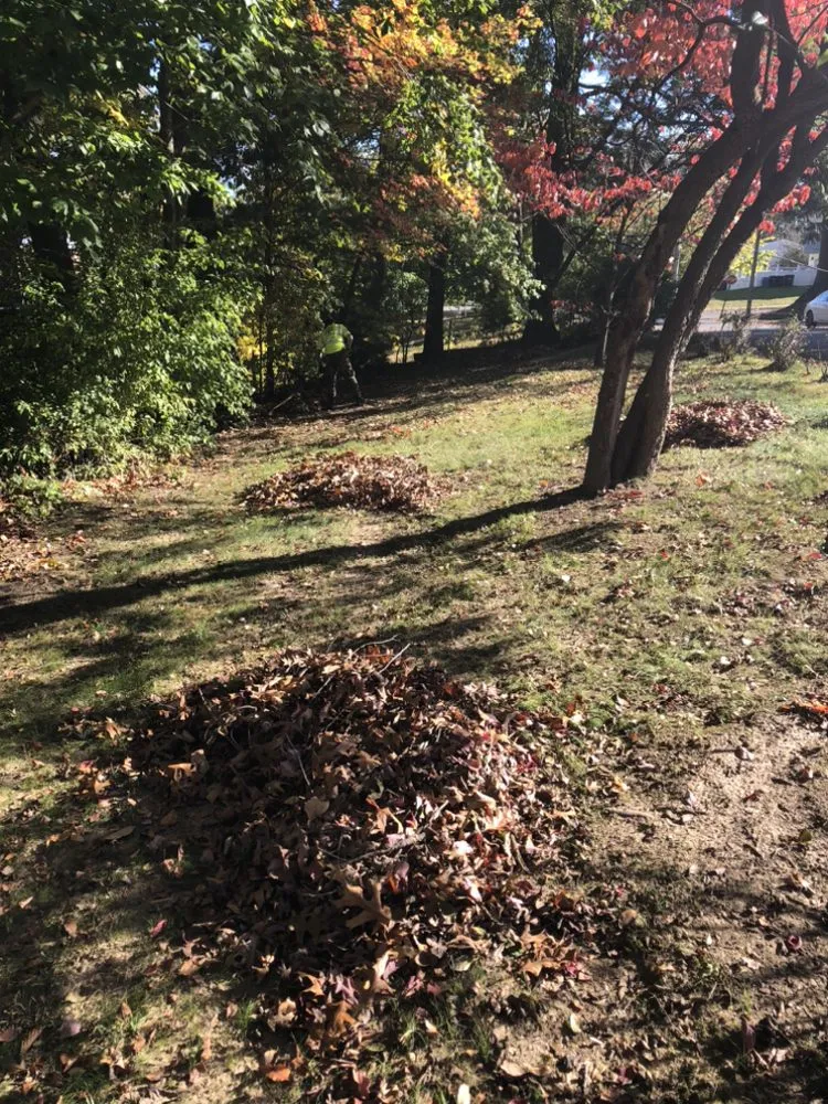 Affordable lawn mowing service for residential properties in Philadelphia, PA by A+ Garden & Landscaping