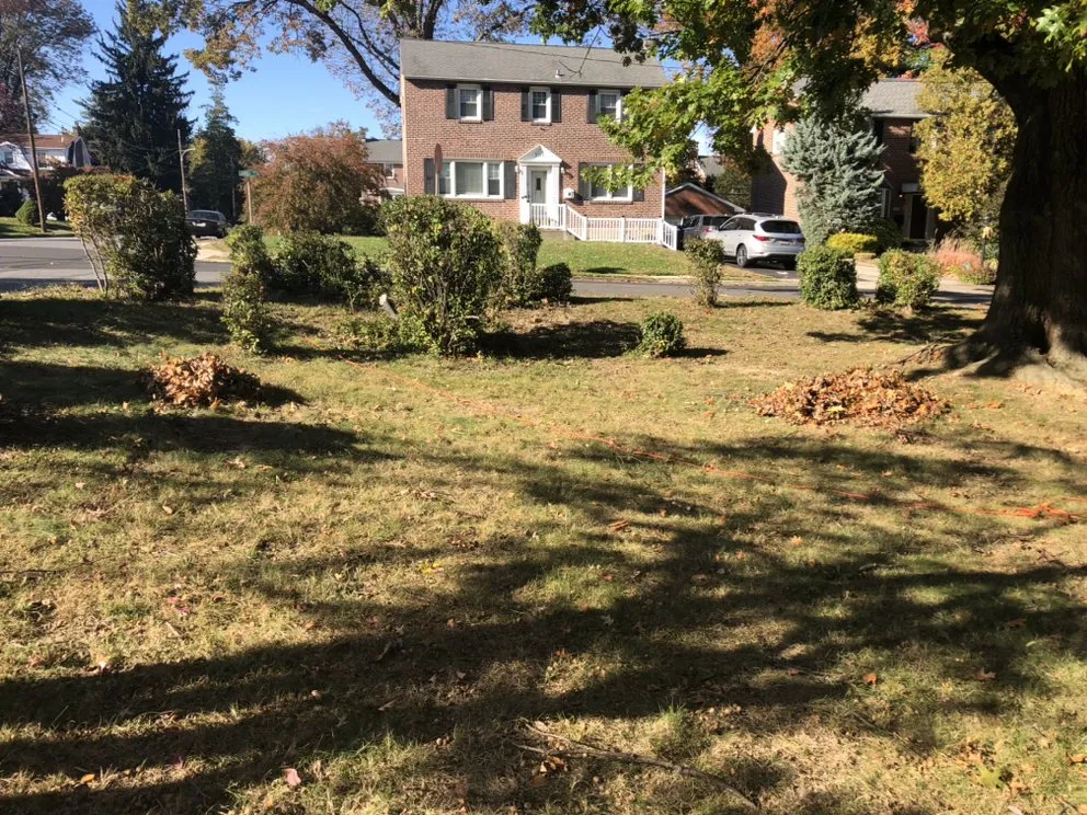 Expert garden landscaping for beautiful yards across Philadelphia, PA - A+ Garden & Landscaping