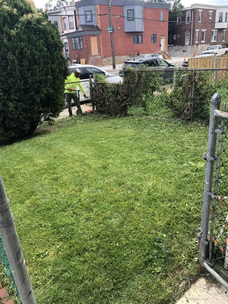 Top-rated landscape installation for year-round maintenance across Philadelphia, PA - A+ Garden & Landscaping