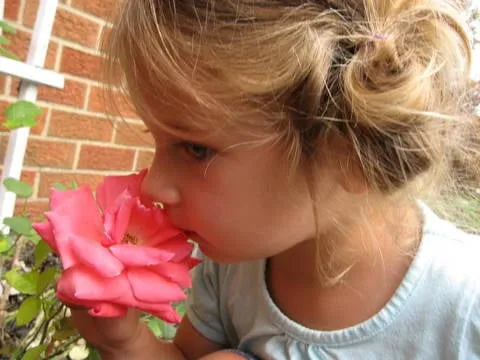 Affordable garden landscaping in Sterling Heights, MI - A Garden Space