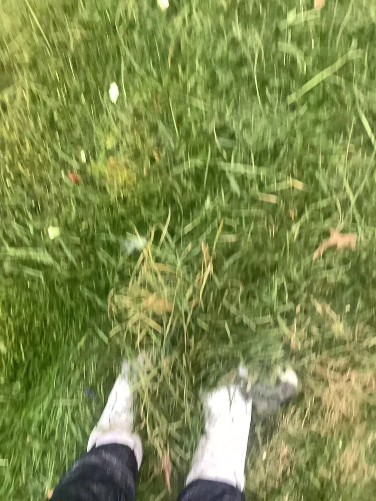 Trusted landscape design experts serving Burlington, NJ - A Girl N Her Truck