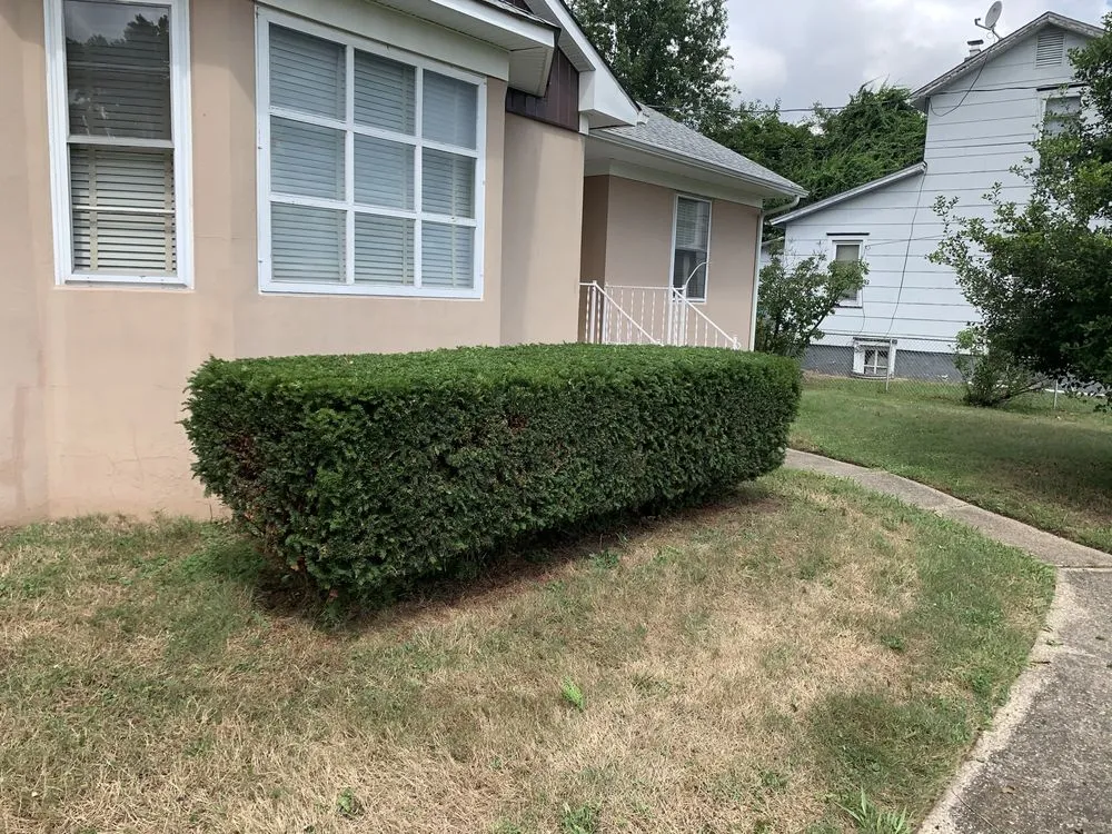 Expert outdoor landscaping in Burlington, NJ - A Girl N Her Truck
