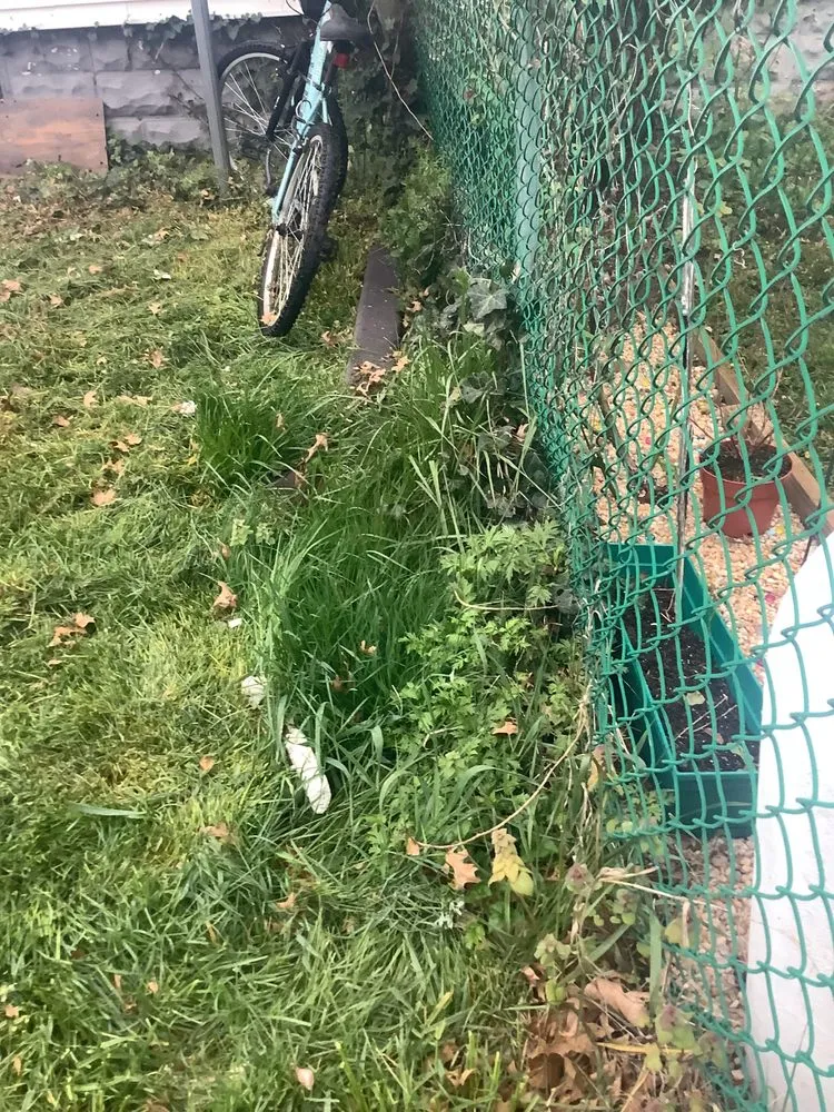 Custom lawn mowing service in Burlington, NJ by A Girl N Her Truck