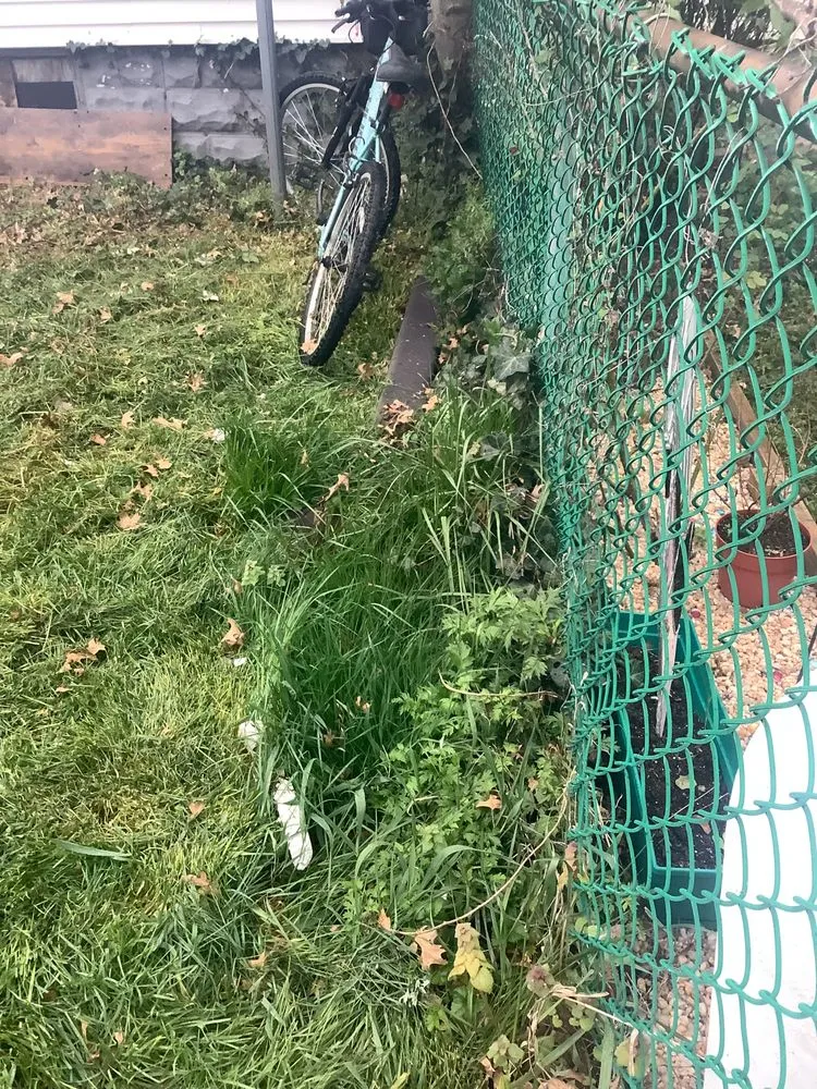 Trusted outdoor landscaping experts serving Burlington, NJ - A Girl N Her Truck