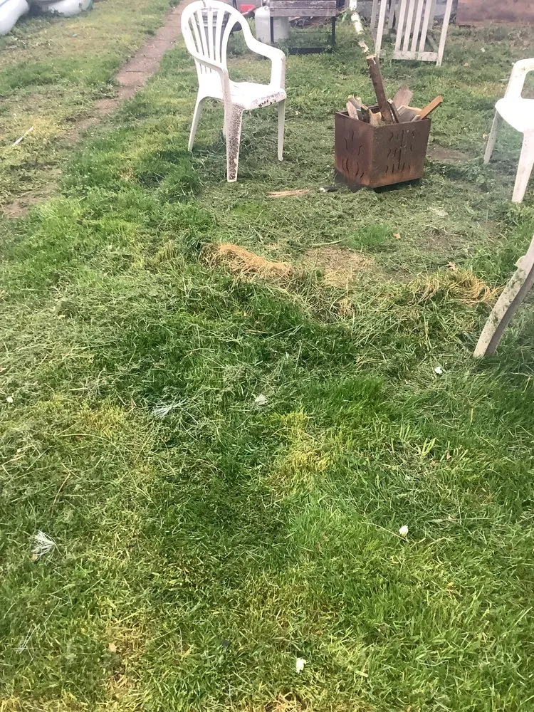 Professional landscape design experts serving Burlington, NJ - A Girl N Her Truck